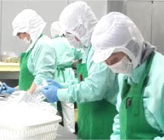 アジアケータリングサービス介護給食部門１
